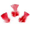 image variant Rojo