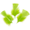 image variant Verde Lima
