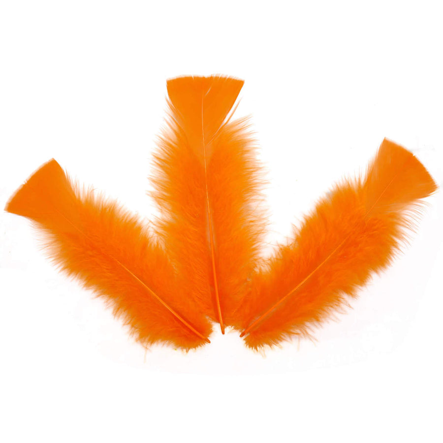 Art.4724 Pluma
