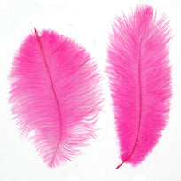 Art.4726 Pluma De Avestruz