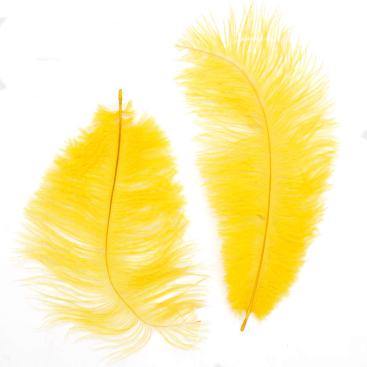 Art.4726 Pluma De Avestruz