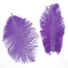 image variant Morado
