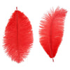 image variant Rojo