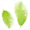 image variant Verde Lima
