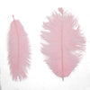 image variant Rosa