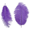 image variant Morado