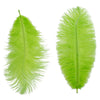 image variant Verde Lima
