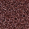 image variant Morado Brill