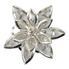 image variant Plata/Cristl