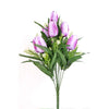 image variant Morado