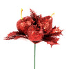 image variant Rojo