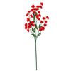 image variant Rojo