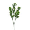 image variant Verde
