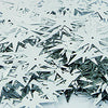 image variant Plata