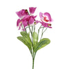 image variant Lavanda