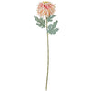 image variant Crema/Rosa