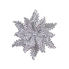 image variant Plata