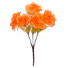image variant Naranja