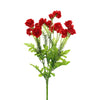 image variant Rojo