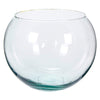 image variant Transparente