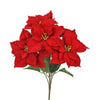 image variant Rojo