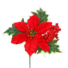 image variant Rojo