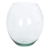 image variant Transparente