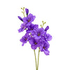 image variant Morado
