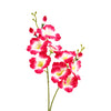 image variant Fiusha