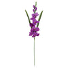 image variant Morado