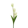 image variant Blanco/Verde