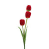 image variant Rojo
