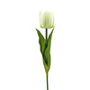 image variant Blanco/Verde