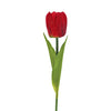 image variant Rojo