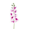 image variant Lavanda/Bco