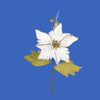 image variant Crema