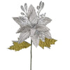 image variant Plata