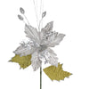 image variant Plata