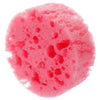 image variant Rosa