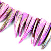 image variant Rosa