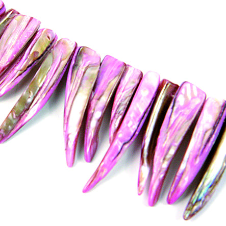 Art.7724 Concha Colmillo