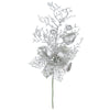 image variant Plata