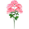 image variant Rosa