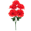 image variant Rojo
