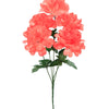 image variant Coral