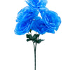 image variant Azul