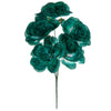 image variant Jade