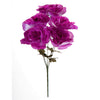 image variant Morado