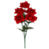 image variant Rojo/Negro
