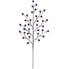 image variant Morado